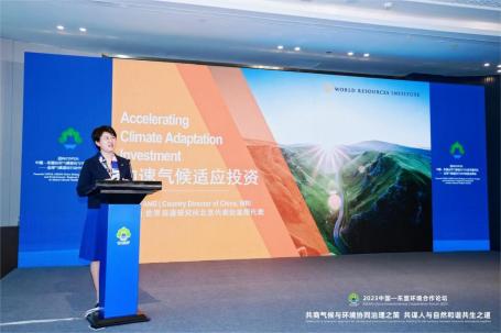 WRI中国首席代表方莉发表演讲 | 图源:2023年中国-东盟环境合作论坛