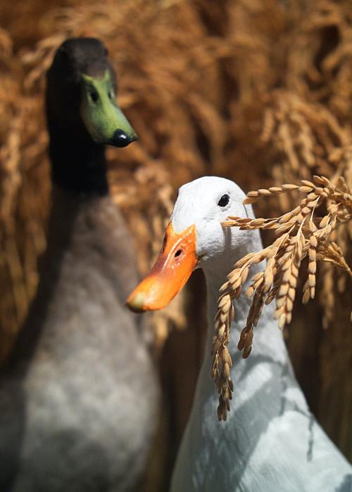 Photo by Andrei Stratu on Unsplash