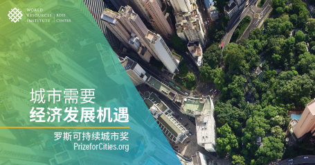 Prize for Cities Graphic PrizeforCities.org