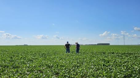 WRI将继续发挥重要桥梁作用，推动中国和巴西在可持续贸易和供应链方面的进一步合作