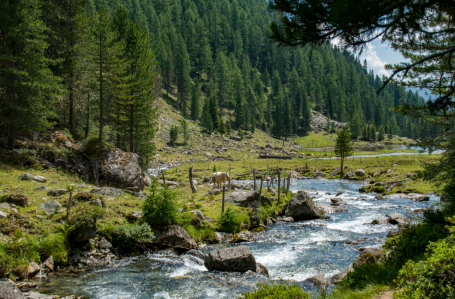 Mountain and River