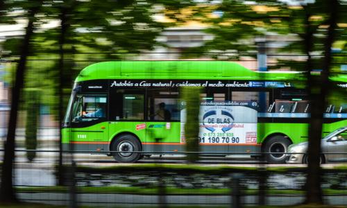 bus